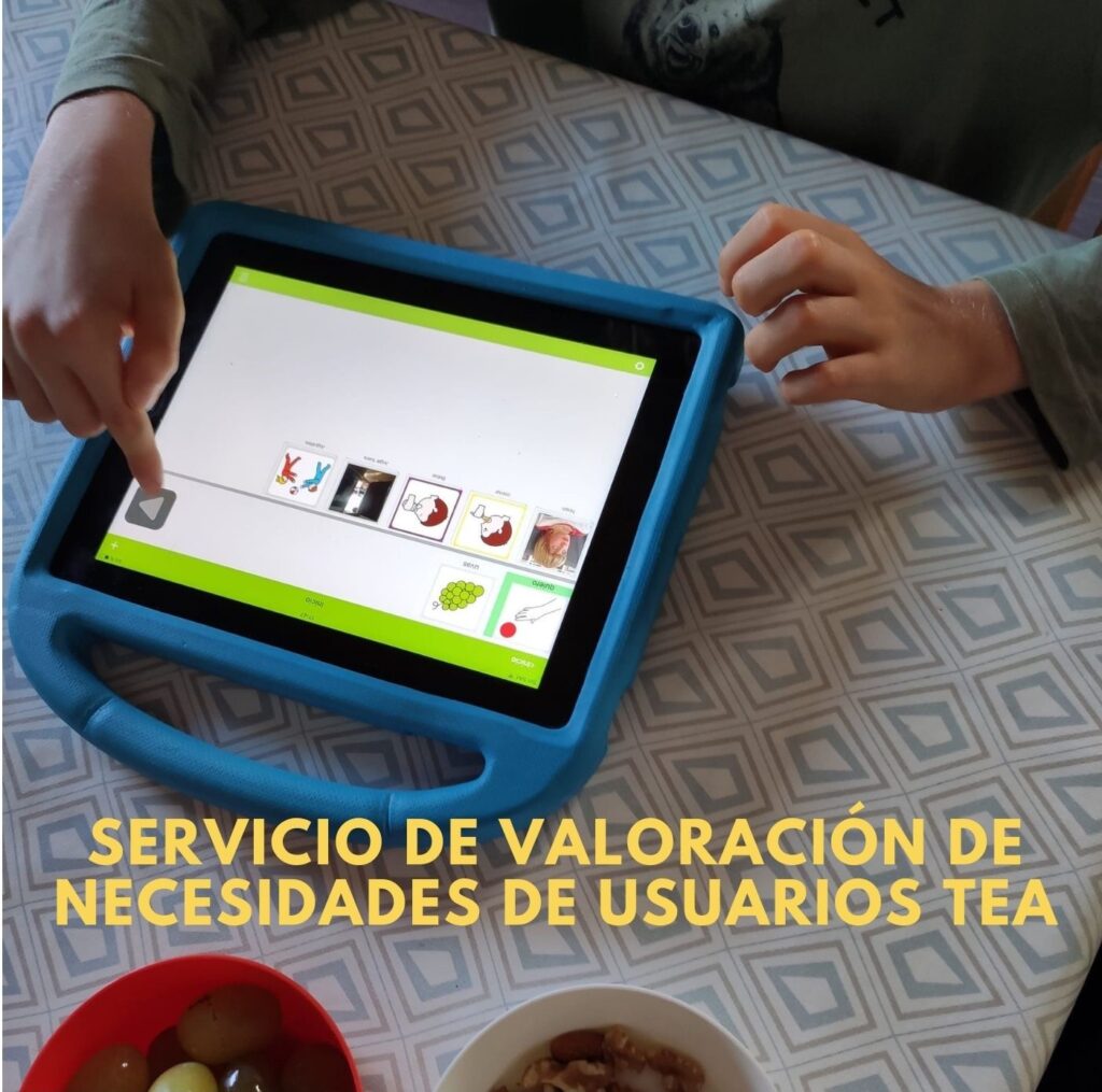 1 1 - Servicio de valoración de necesidades de usuarios TEA