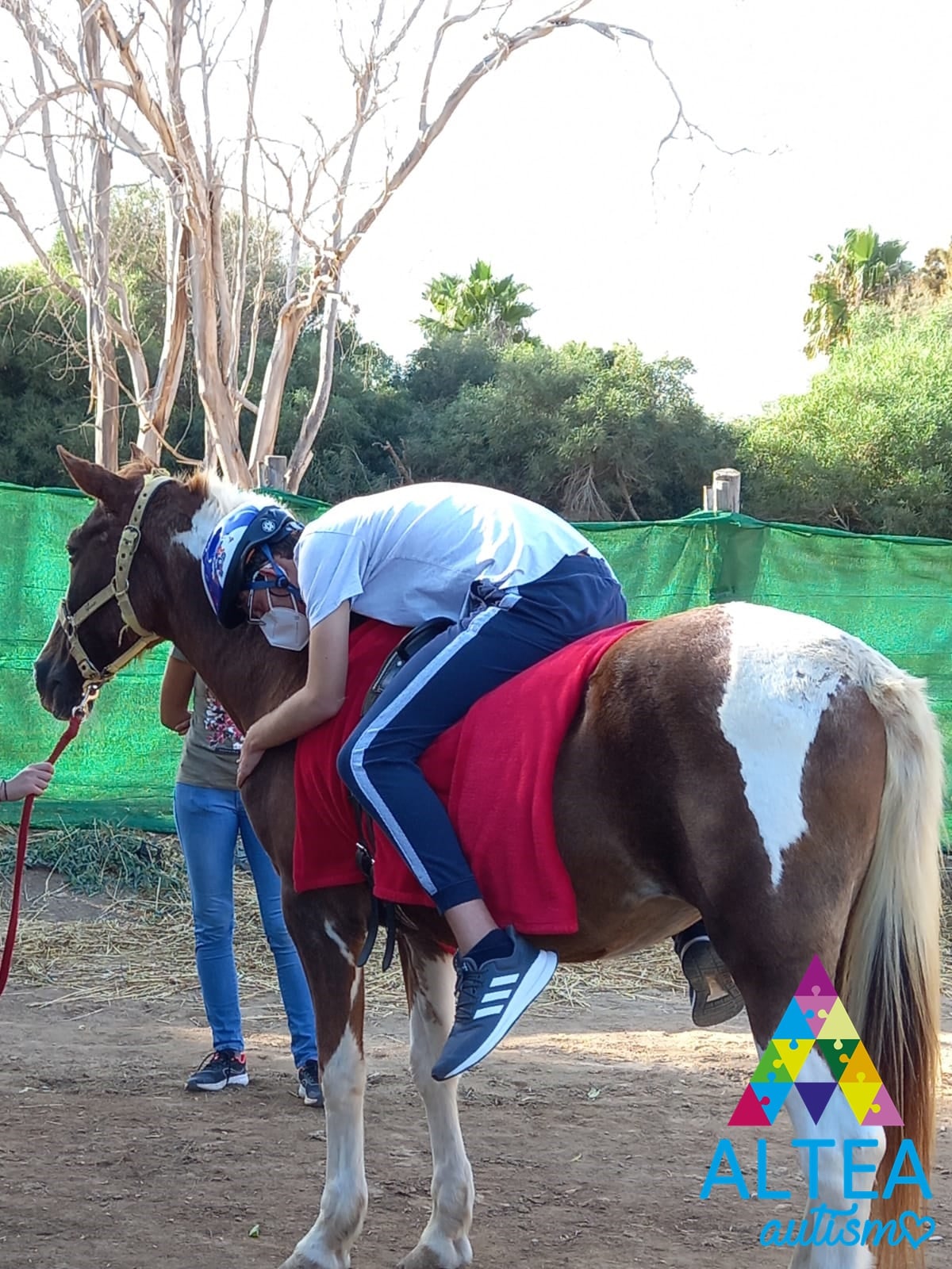 247460953 1293303571137648 6437838508853554519 n 1 - Bidafarma y su colaboración en el proyecto “Caballos que curan corazones”