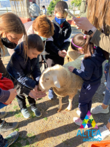 Captura7 - Actividad de Ocio: Visita a la Granja Escuela "Cortijo Colorao" en Berja