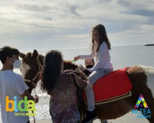 Diseno sin titulo 5 - Bidafarma apoya el proyecto ‘Caballos que curan corazones’ para personas con Trastorno del Espectro Autista