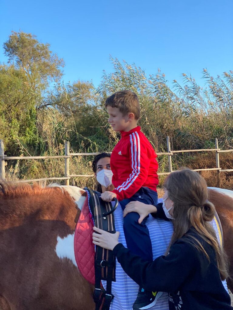 WhatsApp Image 2020 11 10 at 19.49.28 - Beneficios de la Terapia con Caballos